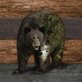 Youngs Wood Scenic Bear 3 Wall Plaque 37248